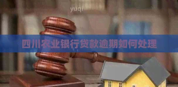 四川农业银行贷款逾期如何处理
