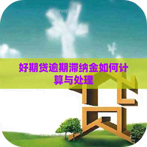 好期贷逾期滞纳金如何计算与处理