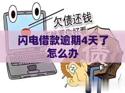 闪电借款逾期4天了怎么办