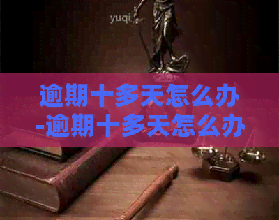逾期十多天怎么办-逾期十多天怎么办啊