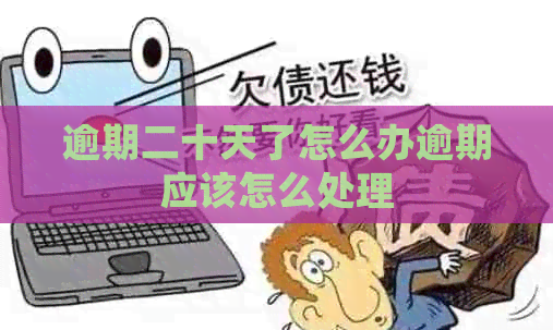 逾期二十天了怎么办逾期应该怎么处理