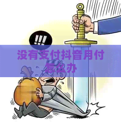 没有支付抖音月付怎么办