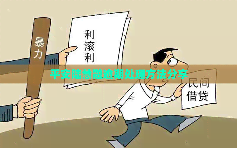 平安陆慧融逾期处理方法分享