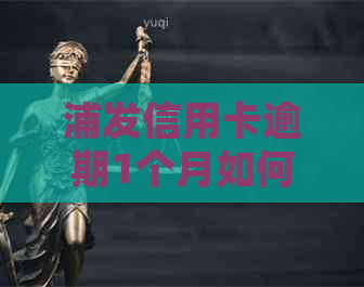 浦发信用卡逾期1个月如何协商处理