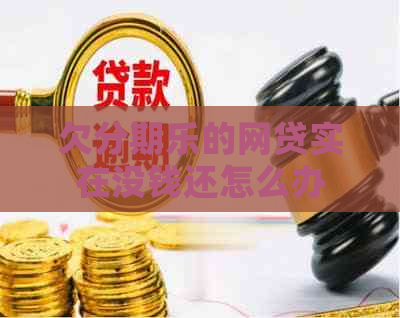 欠的网贷实在没钱还怎么办