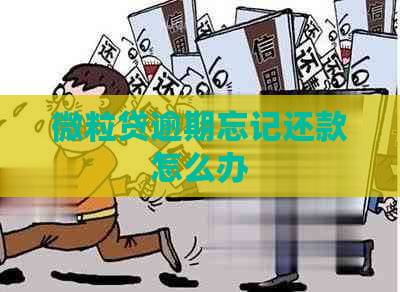 微粒贷逾期忘记还款怎么办
