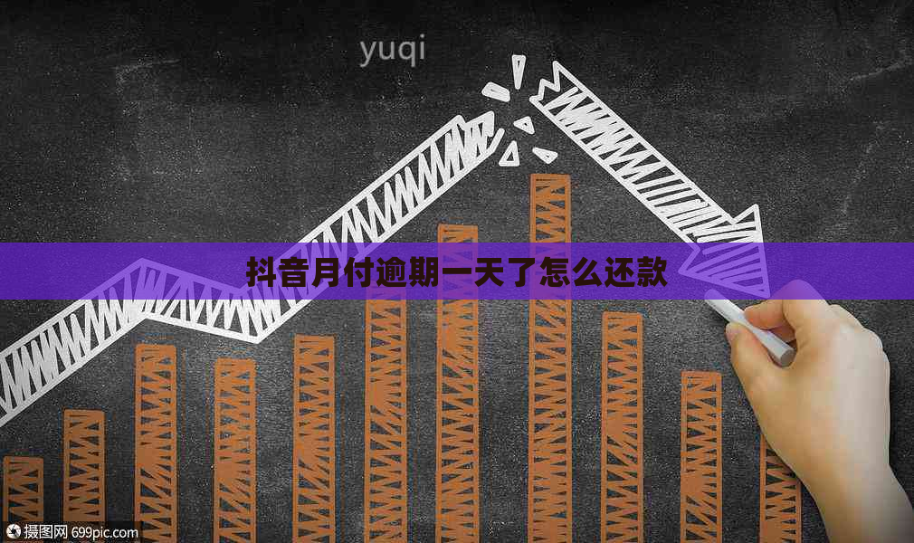 抖音月付逾期一天了怎么还款