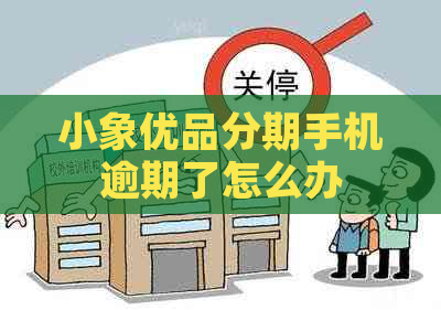 小象优品分期手机逾期了怎么办