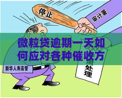 微粒贷逾期一天如何应对各种方式