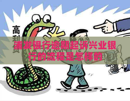 浦发银行逾期起诉兴业银行的流程是怎样的