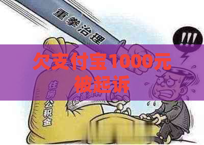 欠支付宝1000元被起诉