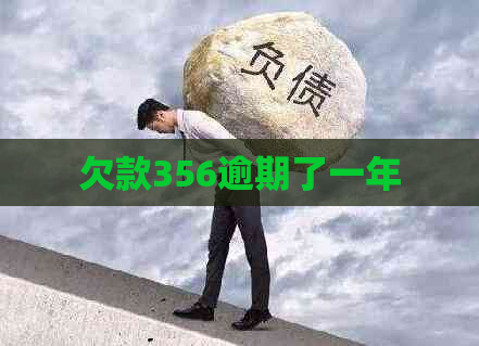 欠款356逾期了一年