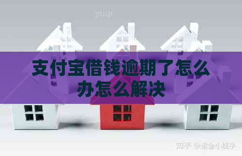 支付宝借钱逾期了怎么办怎么解决