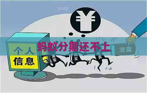 蚂蚁分期还不上