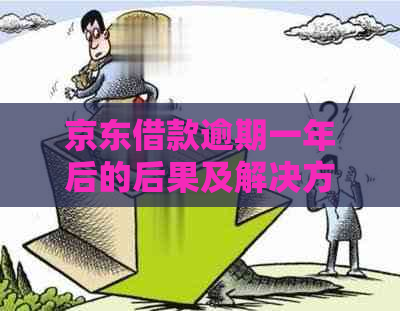 京东借款逾期一年后的后果及解决方法