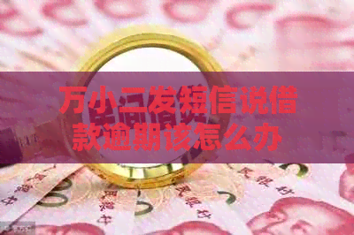 万小二发短信说借款逾期该怎么办