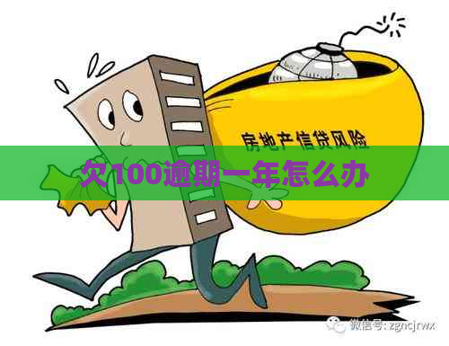 欠100逾期一年怎么办