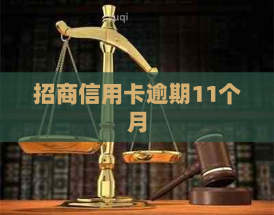 招商信用卡逾期11个月
