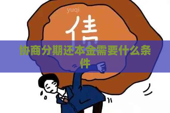 协商分期还本金需要什么条件