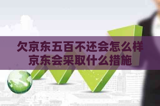 欠京东五百不还会怎么样京东会采取什么措施