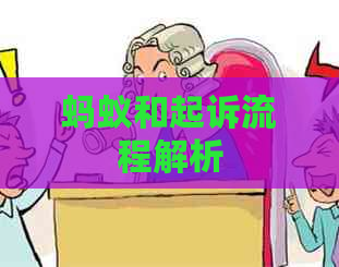 蚂蚁和起诉流程解析