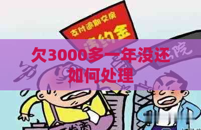 欠3000多一年没还如何处理