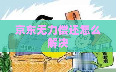 京东无力偿还怎么解决
