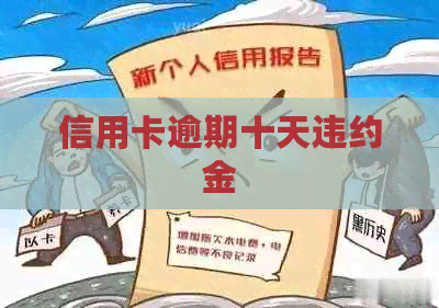 信用卡逾期十天违约金