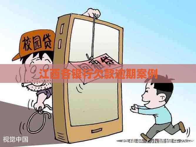江西各银行欠款逾期案例