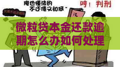 微粒贷本金还款逾期怎么办如何处理