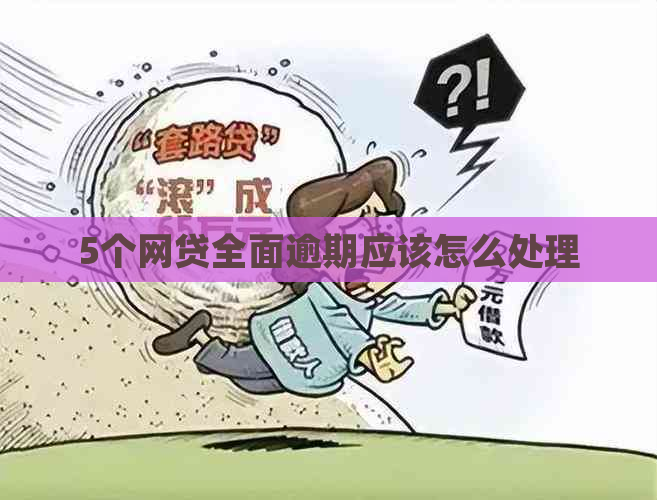 5个网贷全面逾期应该怎么处理