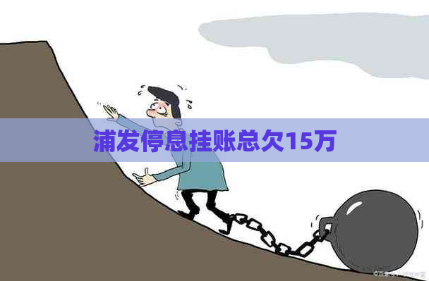 浦发停息挂账总欠15万