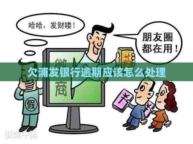欠浦发银行逾期应该怎么处理