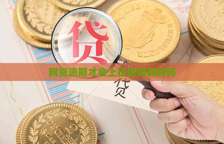 网贷逾期才会上吗真的吗