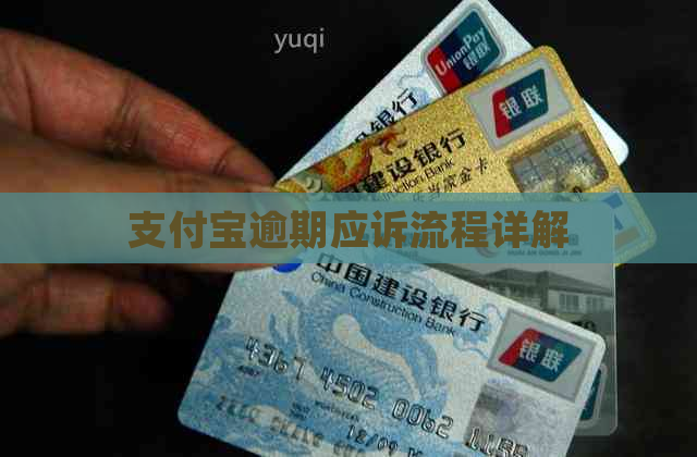支付宝逾期应诉流程详解