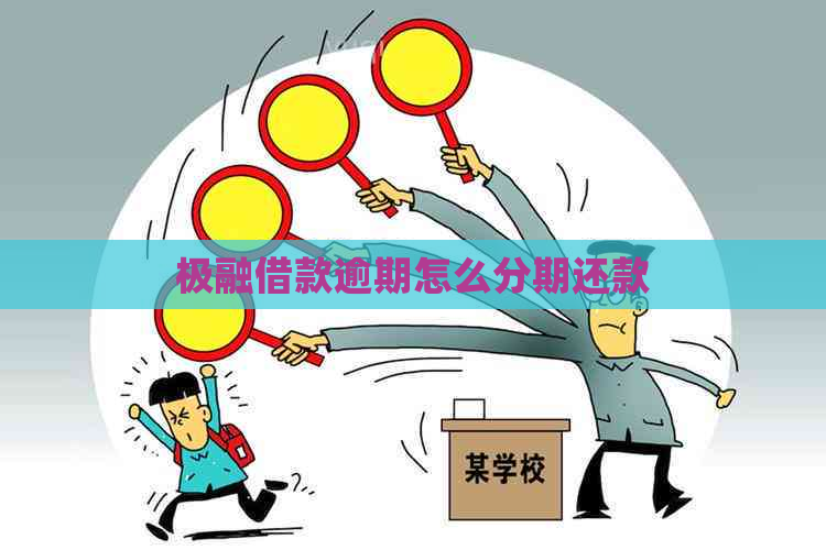极融借款逾期怎么分期还款
