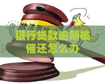 银行贷款逾期被催还怎么办
