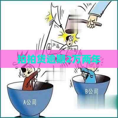 逾期2万两年