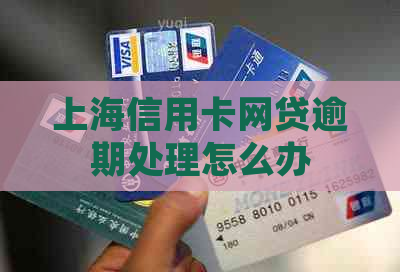 上海信用卡网贷逾期处理怎么办 上海信用卡网贷逾期处理怎么办