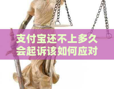 支付宝还不上多久会起诉该如何应对