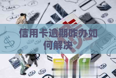 信用卡逾期咋办如何解决