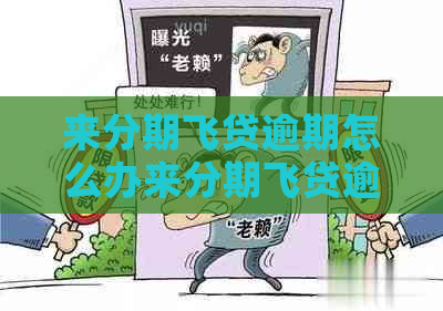 来分期飞贷逾期怎么办来分期飞贷逾期如何解决