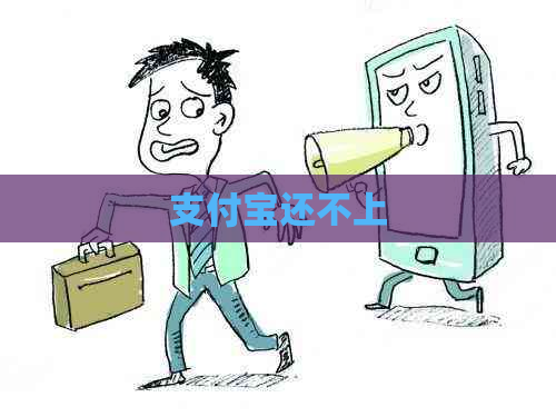 支付宝还不上