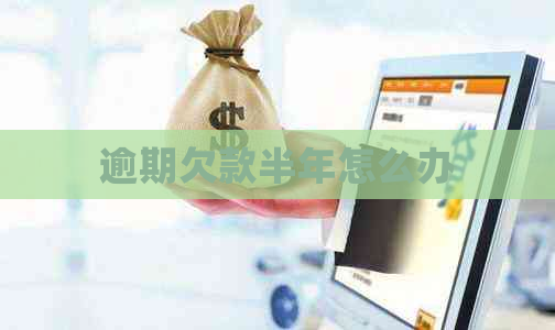 逾期欠款半年怎么办