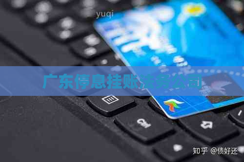 广东停息挂账法务公司