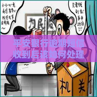 平安银行逾期短信收到后该如何处理
