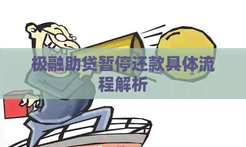 极融助贷暂停还款具体流程解析