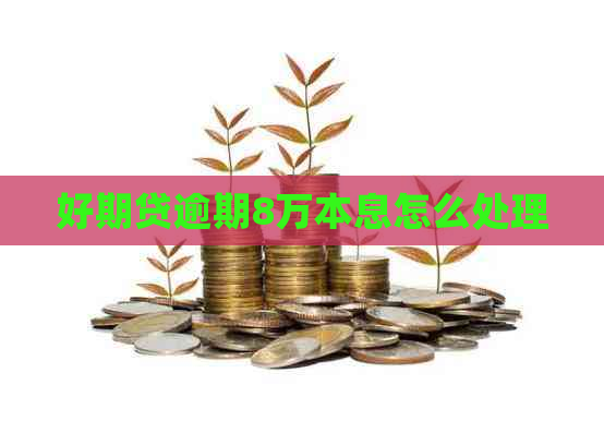 好期贷逾期8万本息怎么处理