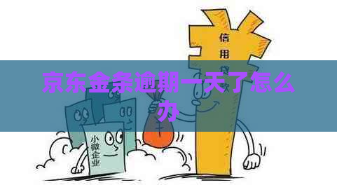 京东金条逾期一天了怎么办