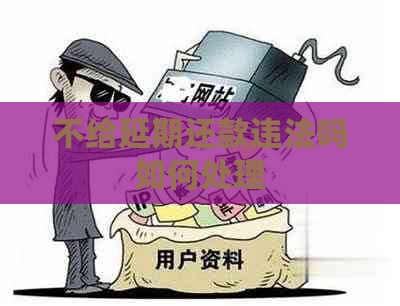 不给延期还款违法吗如何处理